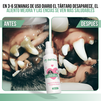 PetClean™ — Dientes Limpios y Aliento Fresco para Perros y Gatos · Sin Cepillo y Sin Anestesia