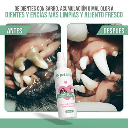 Pet Clean™ — Aliento fresco y dientes sanos, sin peleas ni cepillos