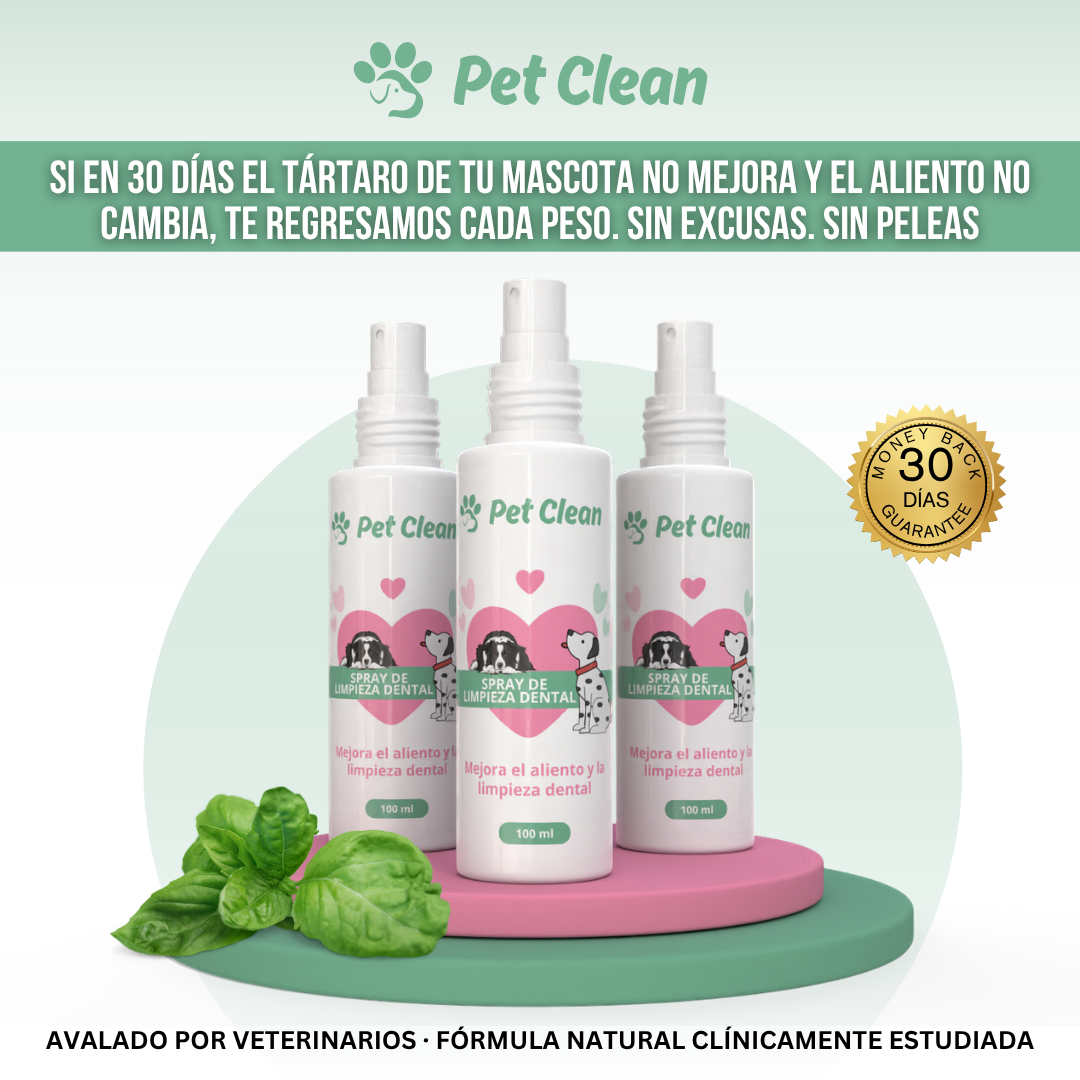 PetClean™ — Dientes Limpios y Aliento Fresco para Perros y Gatos · Sin Cepillo y Sin Anestesia