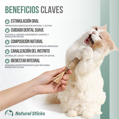 Natural Sticks™ — Juego natural, menos estrés y más felicidad felina