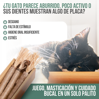 Natural Sticks™ — Juego natural, menos estrés y más felicidad felina